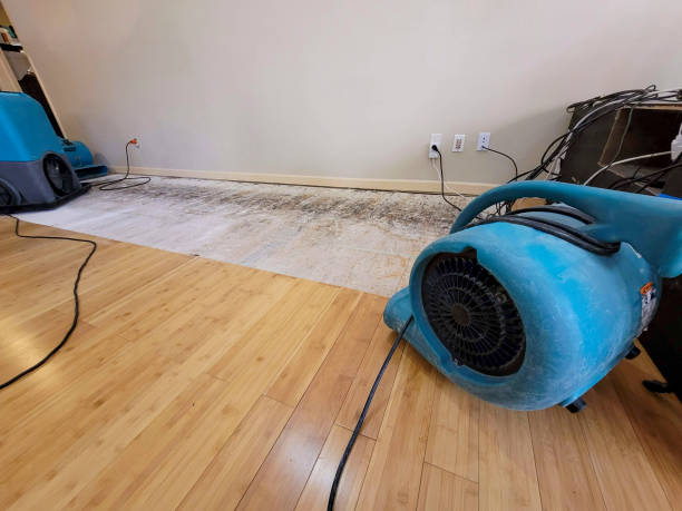 Professional Flood Damage Cleanup technician working in Napoleon, OH